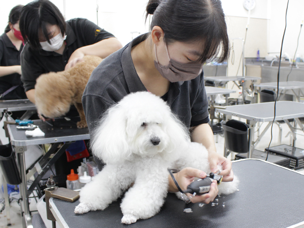本日もかわいいお客様が来校♪